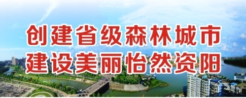 大黑鸡八肏小浪嫩逼视频创建省级森林城市 建设美丽怡然资阳